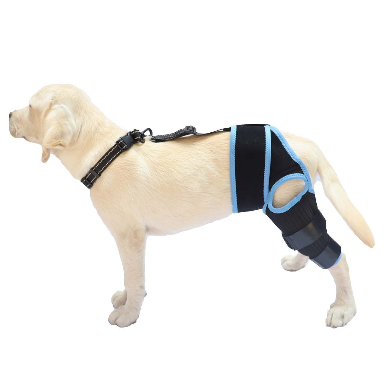 Sir Barkington’s Restorative Hind‑Leg Brace™ - Sir Barkington’s Pet Supplies
