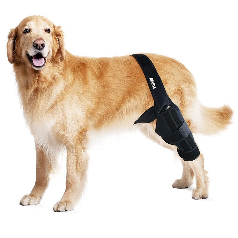Sir Barkington’s Noble Guard — Tear Protection Rehabilitation Belt - Sir Barkington’s Pet Supplies