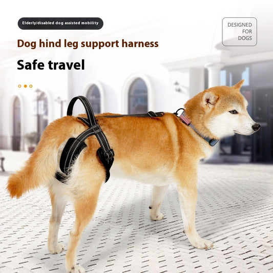 Sir Barkington’s Noble Support Strap — Pet Rehabilitation Aid for Hind Legs - Sir Barkington’s Pet Supplies