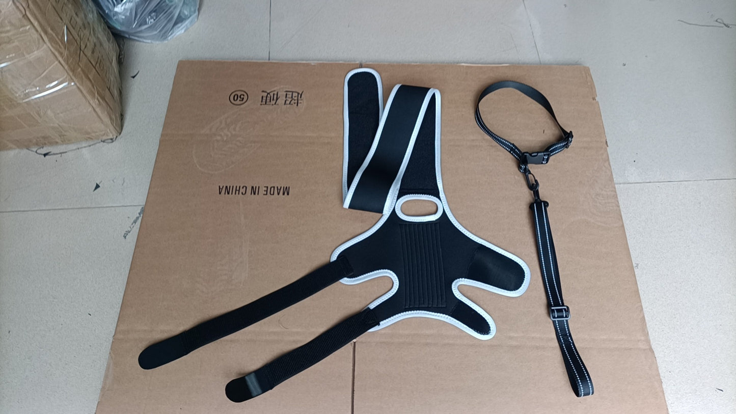 Sir Barkington’s Restorative Hind‑Leg Brace™ - Sir Barkington’s Pet Supplies