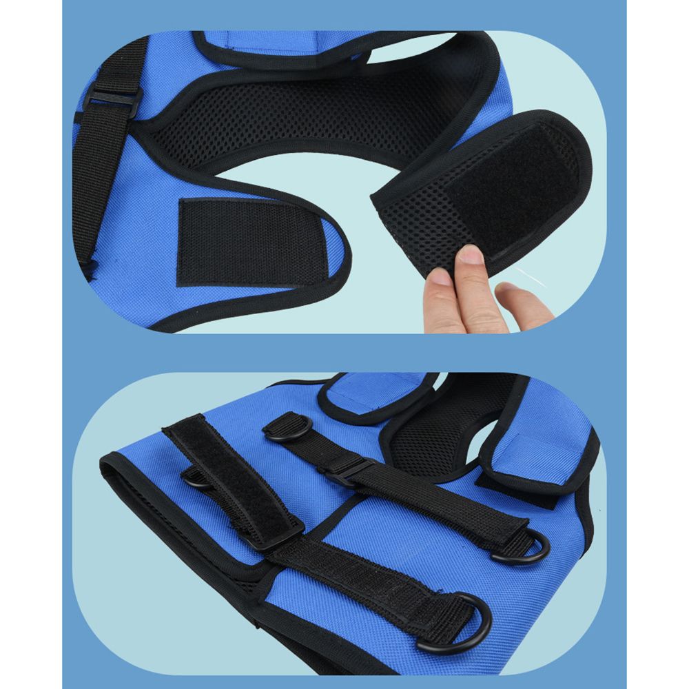 Sir Barkington’s Noble Senior Belt — Rehabilitation Aid for Elderly Dogs - Sir Barkington’s Pet Supplies