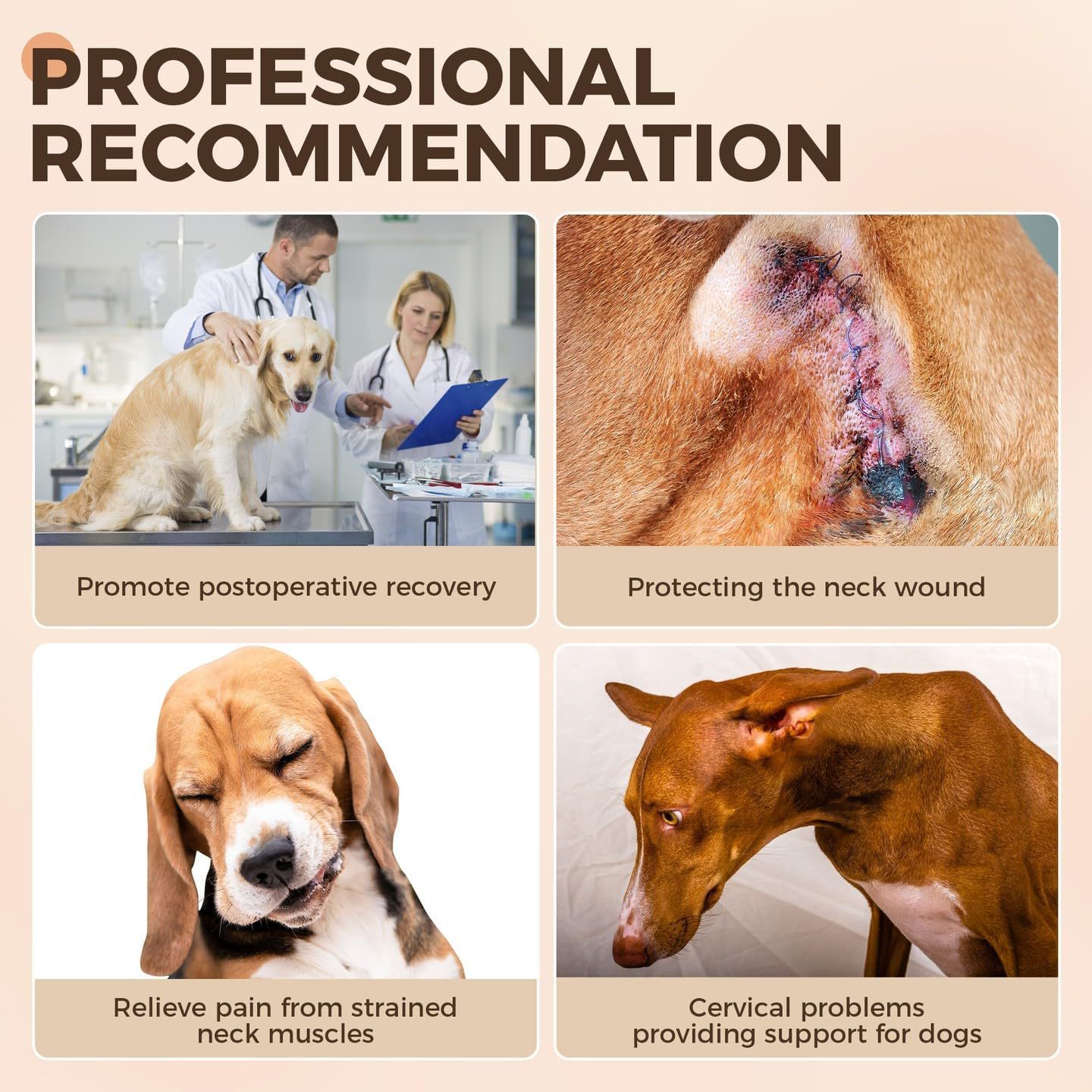 Sir Barkington’s Restorative Cervical Brace™
Neck Stabilization for Sprains, Instability, and Post‑Injury Recovery - Sir Barkington’s Pet Supplies