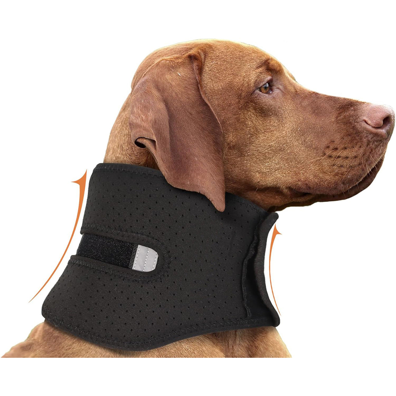 Sir Barkington’s Restorative Cervical Brace™
Neck Stabilization for Sprains, Instability, and Post‑Injury Recovery - Sir Barkington’s Pet Supplies