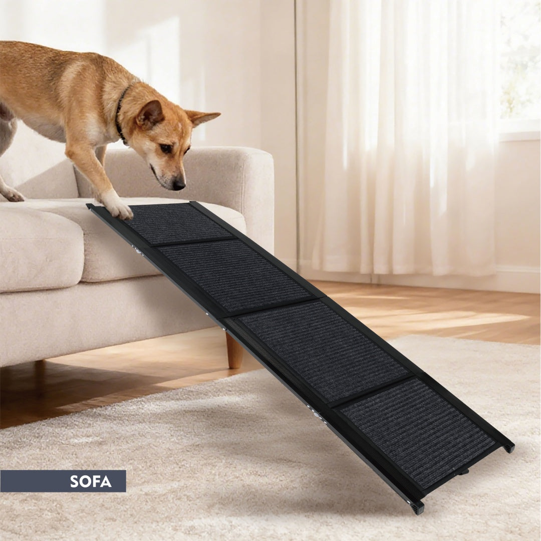 Sir Barkington’s Restorative Ramp™ Safe, Confident Mobility for Dogs of All Sizes - Sir Barkington’s Pet Supplies