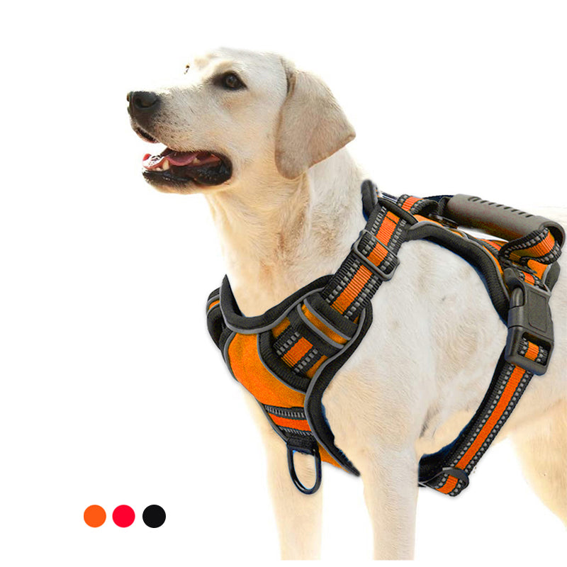 Sir Barkington’s NobleGuard™ No‑Pull Harness - Sir Barkington’s Pet Supplies