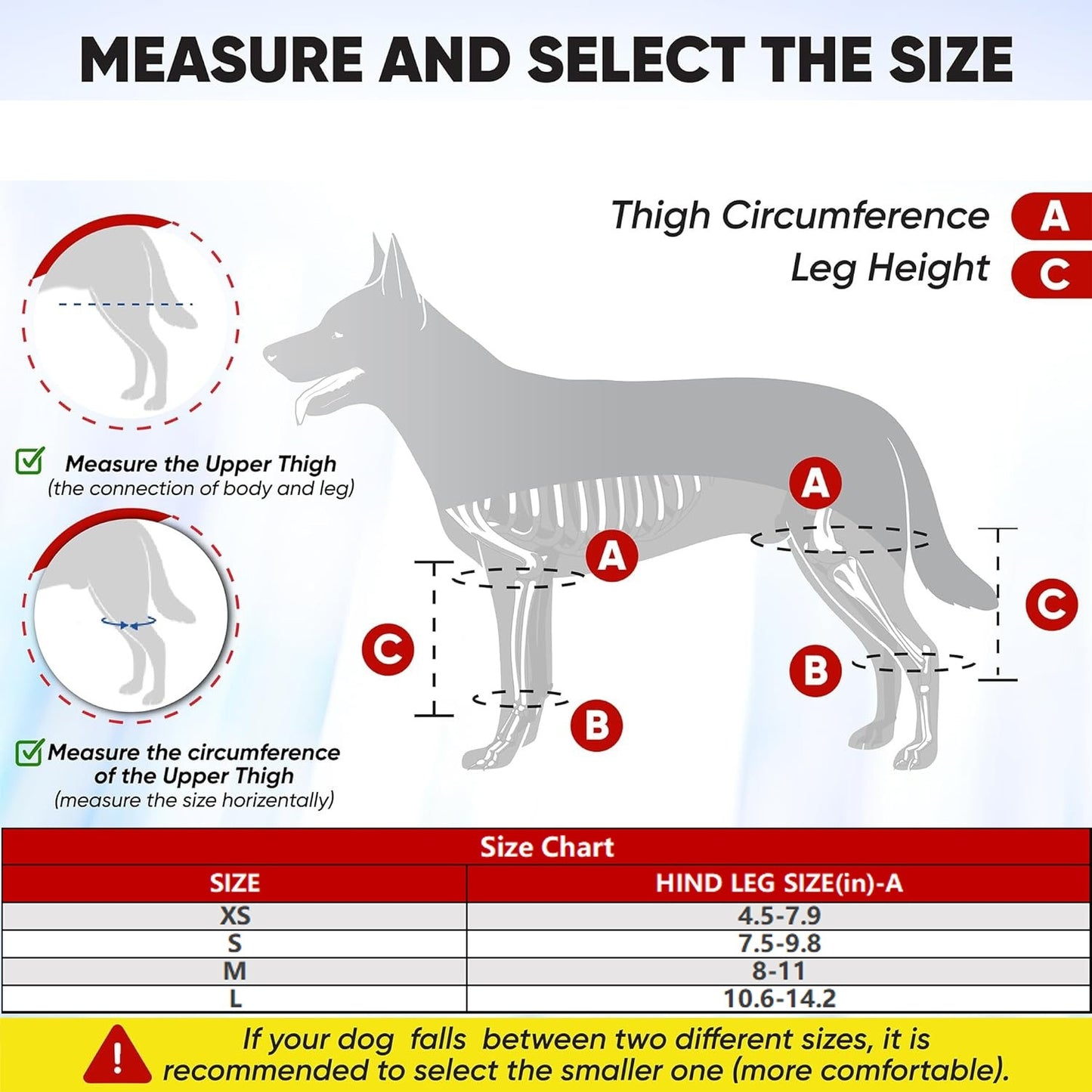 Sir Barkington’s Restorative Hind‑Leg Brace™ - Sir Barkington’s Pet Supplies