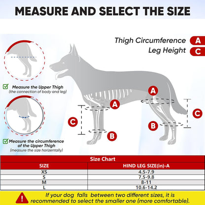 Sir Barkington’s Restorative Hind‑Leg Brace™ - Sir Barkington’s Pet Supplies