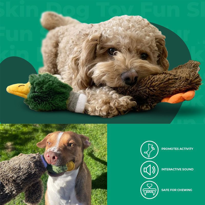 Wild Duck 2-in-1 Stuffless Squeaky Dog Toy - Sir Barkington’s Pet Supplies