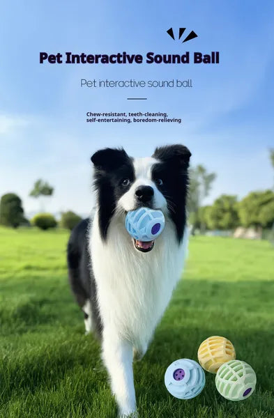 Pet Interactive Sound Ball — Chew-Resistant, Self-Entertaining, and Delightfully Noisy - Sir Barkington’s Pet Supplies