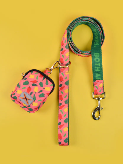 🍦 The Promenade Pop Leash Set - Sir Barkington’s Pet Supplies