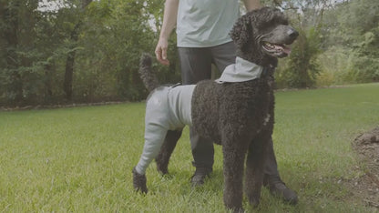 New Anti-licking Sleeve For Postoperative Recovery