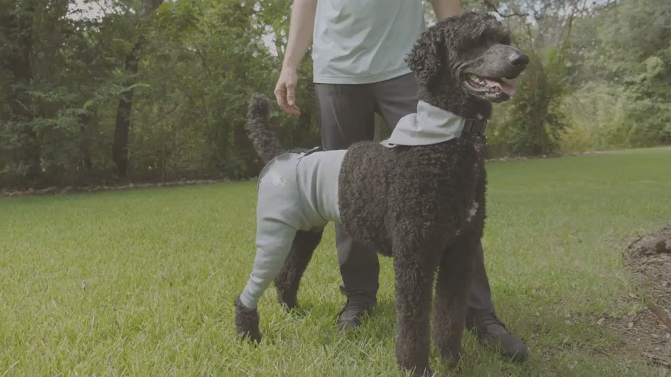 New Anti-licking Sleeve For Postoperative Recovery